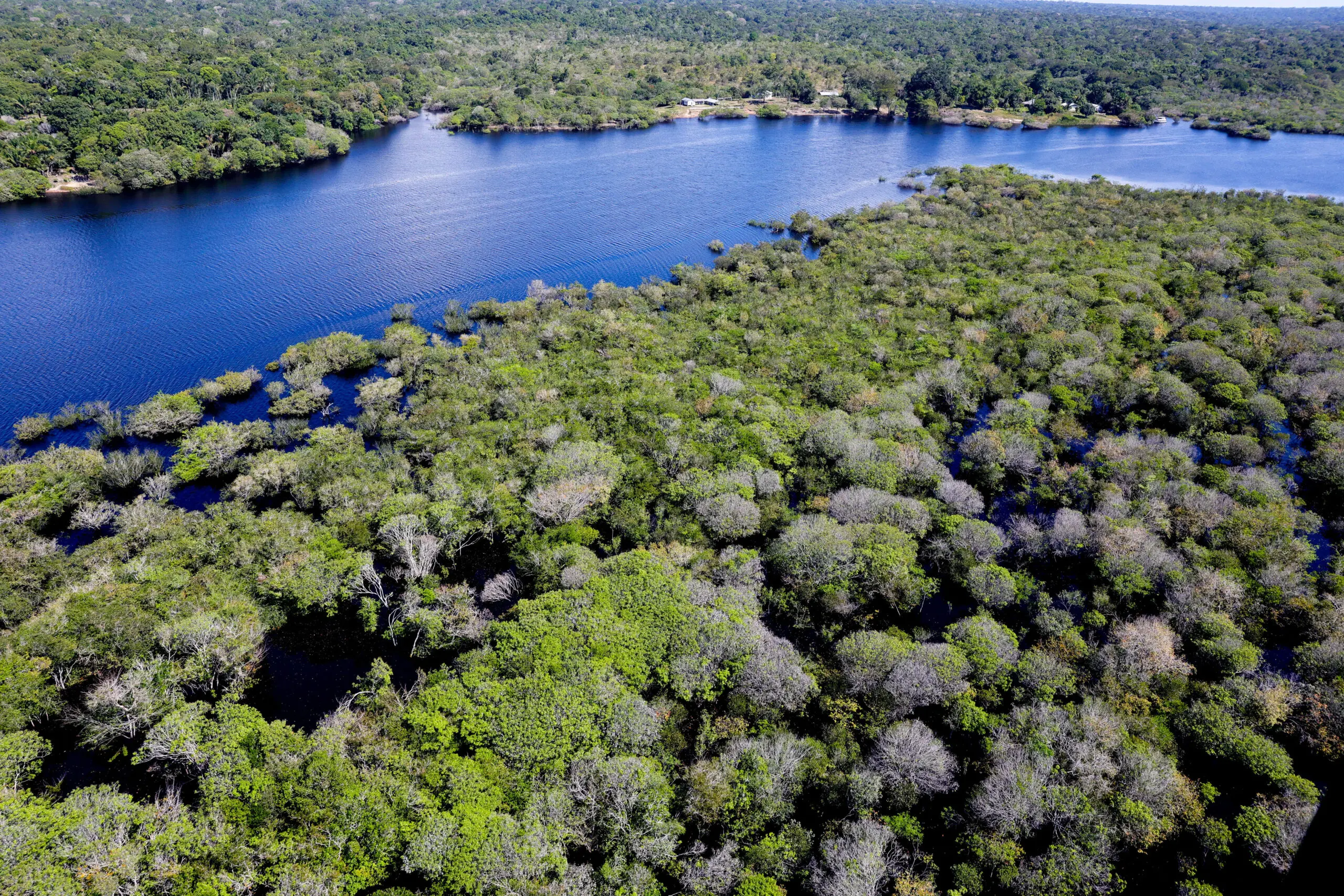 EUA investigam agronegócio brasileiro por suposto desmatamento ilegal e barreiras ao etanol 4 EUA investigam agronegócio brasileiro por suposto desmatamento ilegal e barreiras ao etanol - Imagem do artigo original