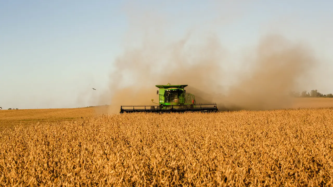 Cadeia de soja e biodiesel deve atingir 6,4% do PIB e empregar 2,4 milhões de pessoas em 2025 4 Cadeia de soja e biodiesel deve atingir 6,4% do PIB e empregar 2,4 milhões de pessoas em 2025 - Imagem do artigo original
