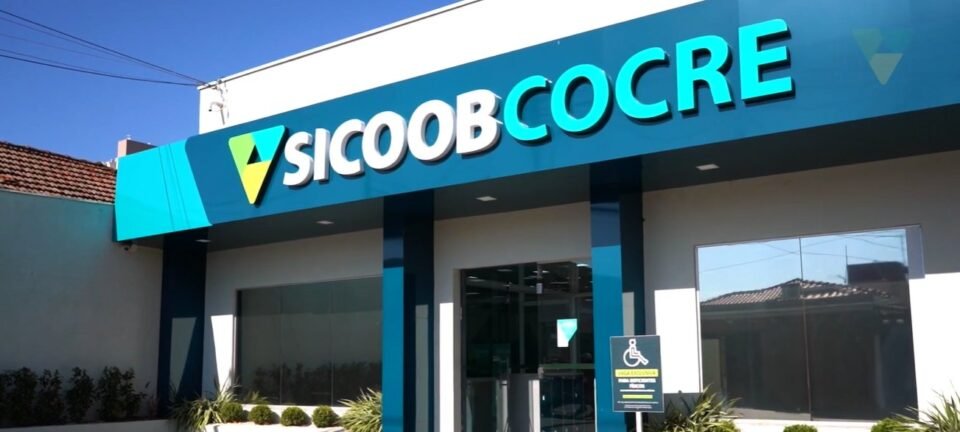 Sicoob Cocre é novamente a melhor empresa de médio porte para trabalhar no Interior Paulista, segundo GPTW 2025 4 Sicoob Cocre é novamente a melhor empresa de médio porte para trabalhar no Interior Paulista, segundo GPTW 2025 - Imagem do artigo