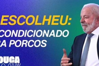 Portaria sugere aquecedor, ar-condicionado e assistente de bem-estar para transporte de animais 30 ocrente 1756599231