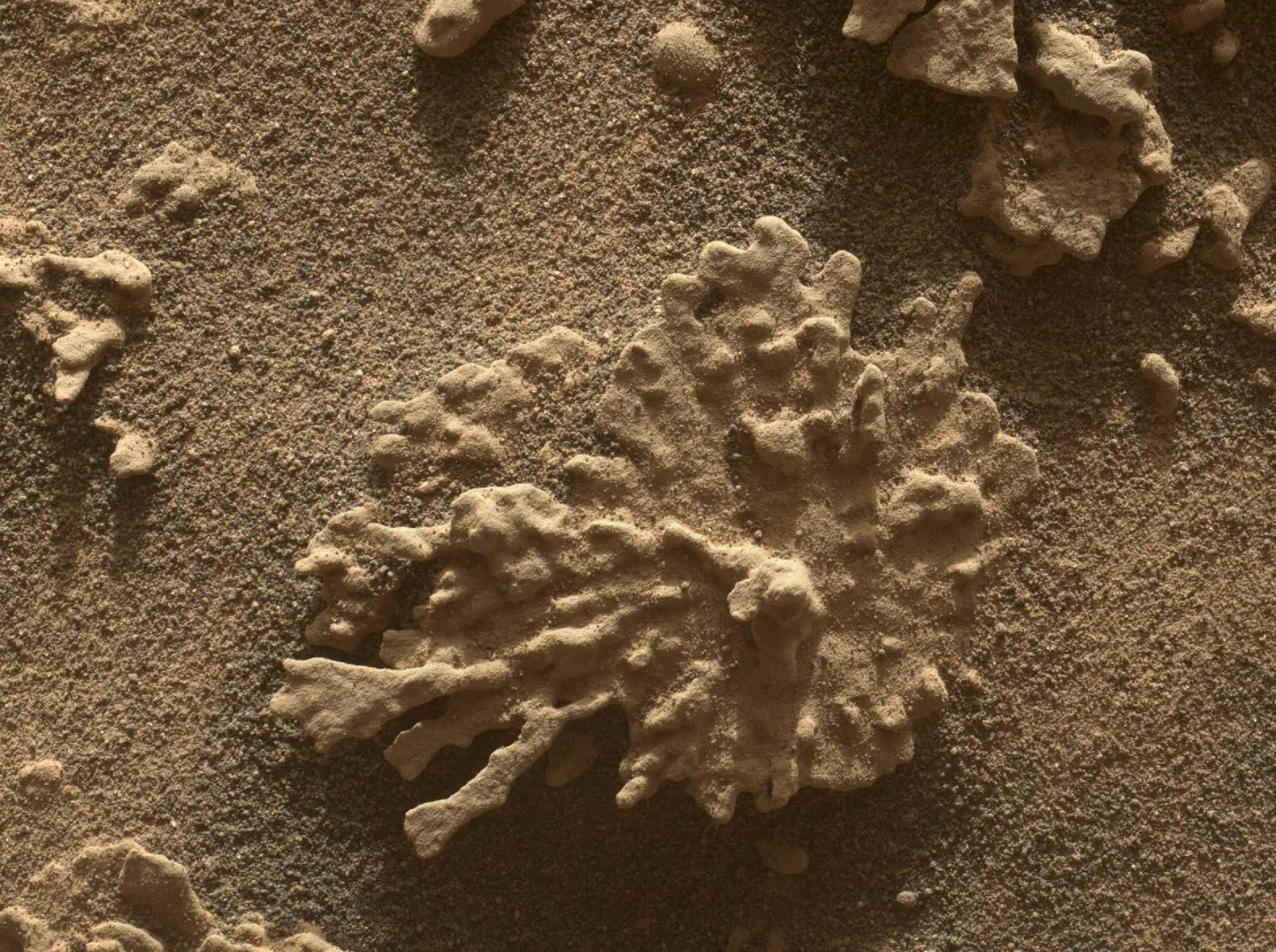 Rover Curiosity registra rocha em forma de coral e reforça presença antiga de água em Marte 4 Rover Curiosity registra rocha em forma de coral e reforça presença antiga de água em Marte - Imagem do artigo original