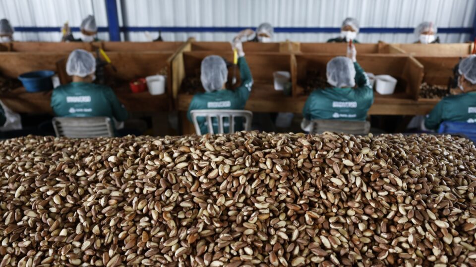 Governo dispensa licitação para comprar alimentos de produtores afetados por tarifas dos EUA 4 Governo dispensa licitação para comprar alimentos de produtores afetados por tarifas dos EUA - Imagem do artigo original