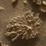 rss featured 17352 1754777598