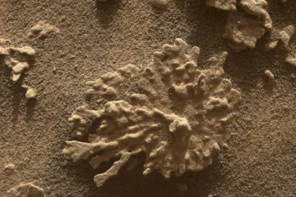 Rover Curiosity registra rocha em forma de coral e reforça presença antiga de água em Marte 9 rss featured 17352 1754777598