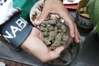 Potência da maconha legal no Canadá é cinco vezes maior que há 20 anos, diz pesquisa 3 rss featured 17711 1754950398