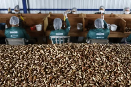 Governo dispensa licitação para comprar alimentos de produtores afetados por tarifas dos EUA 3 rss featured 19707 1756128131