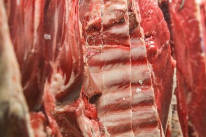 Exportações de carne bovina do Brasil crescem após tarifa dos EUA; preços recordes no mercado americano 24 ocrente 1756741535