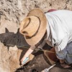 Catedral de 1.500 anos é encontrada sob mercado em Vence, no sul da França 7 ocrente 1756836731