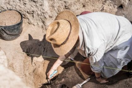 Catedral de 1.500 anos é encontrada sob mercado em Vence, no sul da França 3 ocrente 1756836731