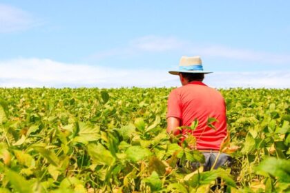 Governo destina R$ 12 bilhões para renegociar dívidas de até 100 mil produtores rurais 27 ocrente 1757101309