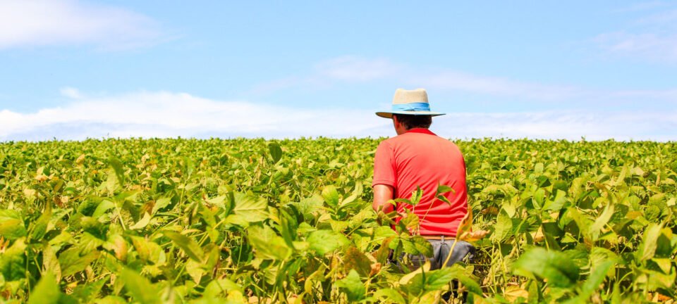Governo destina R$ 12 bilhões para renegociar dívidas de até 100 mil produtores rurais 4 Governo destina R$ 12 bilhões para renegociar dívidas de até 100 mil produtores rurais - Imagem do artigo