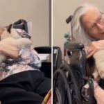 Mesmo com demência, idosa de 90 anos reconhece Jesus e cita versículo bíblico 5 ocrente 1758983537