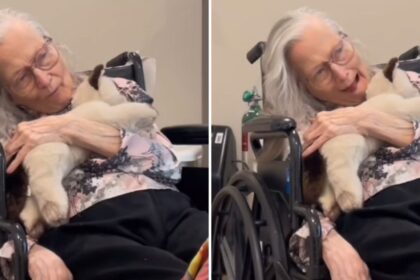 Mesmo com demência, idosa de 90 anos reconhece Jesus e cita versículo bíblico 16 ocrente 1758983537