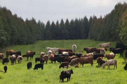 Agro investe contra Plano Clima e acusa governo de sobrecarregar setor às vésperas da COP 30 18 ocrente 1759185158
