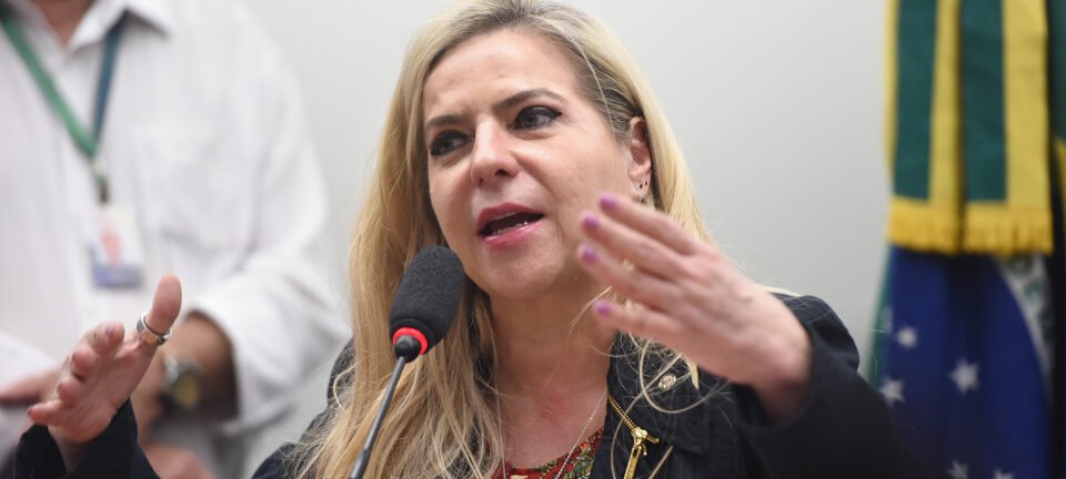 Deputada Luizianne Lins permanece detida em Israel após rejeitar expulsão sumária 2 ocrente 1759631511