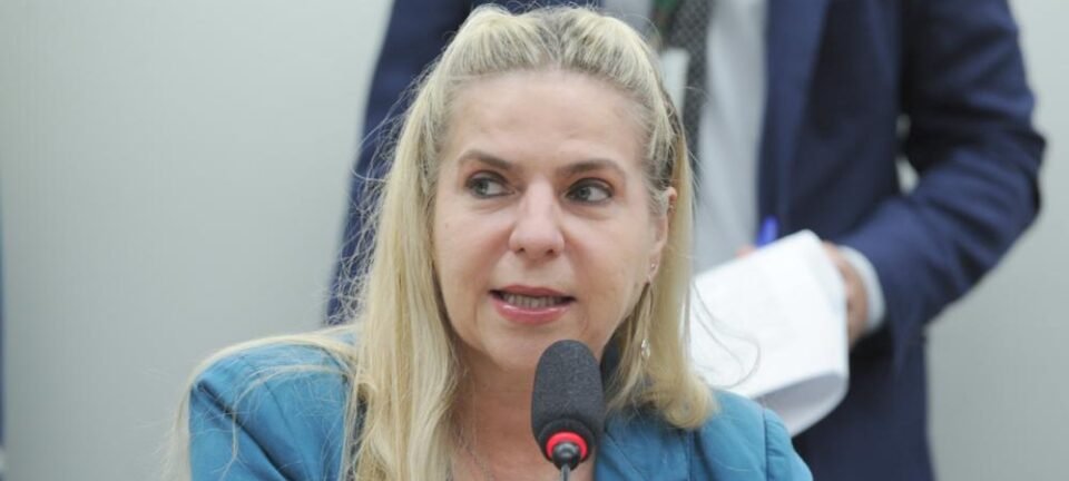 Deputada Luizianne Lins e outros brasileiros seguem presos em Israel sem data para deportação 2 ocrente 1759712603