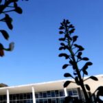 STF dá dois anos para Congresso criar lei que proteja empregos ameaçados por automação e IA 4 ocrente 1760129335