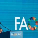 Lula propõe imposto global de 2% sobre grandes fortunas para erradicar a fome 5 ocrente 1760392086