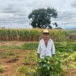 Agricultor analfabeto tem R$ 1,4 mil descontados da aposentadoria por entidade de servidores públicos 5 ocrente 1761013933
