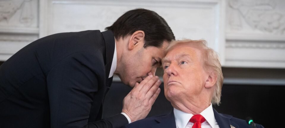 Trump cobra US$ 230 milhões dos EUA e Sarkozy começa a cumprir pena na França 2 ocrente 1761150728