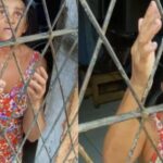Sobrevivente com 1% de chance relata despertar do coma após atropelamento 4 ocrente 1761742952