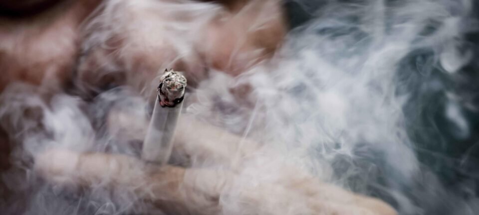 Contrabando de cigarros rende R$ 10,2 bilhões anuais a facções, aponta estudo da FGV 2 ocrente 1762205486