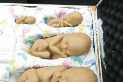 Câmara aprova urgência para projeto que anula norma do Conanda sobre aborto em menores de 14 anos 12 ocrente 1762377441