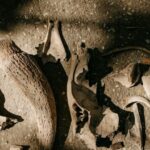 Da tumba de Tutmés II a fósseis no Quênia: as 10 descobertas arqueológicas que marcaram 2025 5 ocrente 1762635172