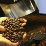 Café, carnes e laranja são os maiores beneficiados com corte de 10% nas tarifas dos EUA 4 ocrente 1763167605