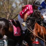 Argentina revela primeiros cavalos criados com edição genética CRISPR 4 ocrente 1763466509