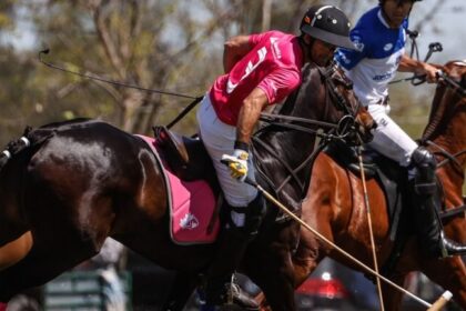 Argentina revela primeiros cavalos criados com edição genética CRISPR 20 ocrente 1763466509