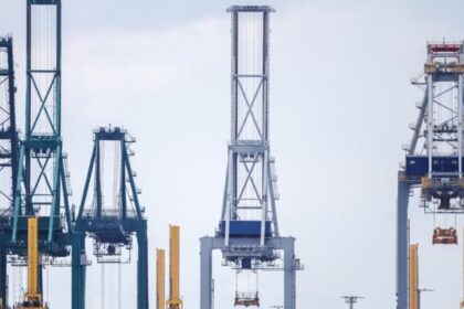 Bélgica acende alerta de “narcoestado” após recorde de cocaína e onda de violência 6 ocrente 1763522185