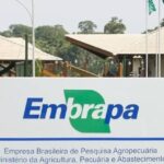 Estudo dos EUA revela retorno de R$ 17 para cada R$ 1 investido na Embrapa 5 ocrente 1764456680