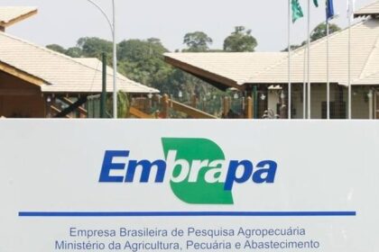 Estudo dos EUA revela retorno de R$ 17 para cada R$ 1 investido na Embrapa 18 ocrente 1764456680