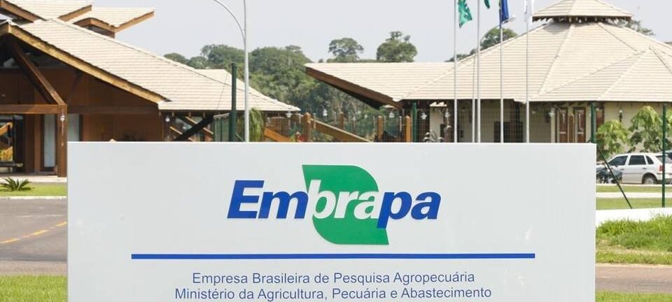 Estudo dos EUA revela retorno de R$ 17 para cada R$ 1 investido na Embrapa 2 ocrente 1764456680