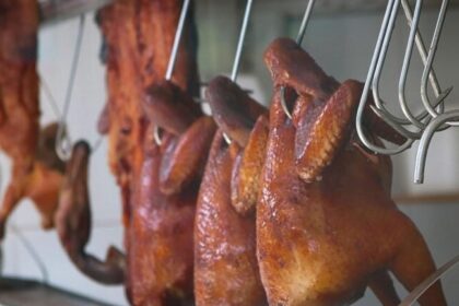 Especialista alerta: mutação do vírus H5N1 pode desencadear pandemia mais grave que a de Covid-19 6 ocrente 1765154115
