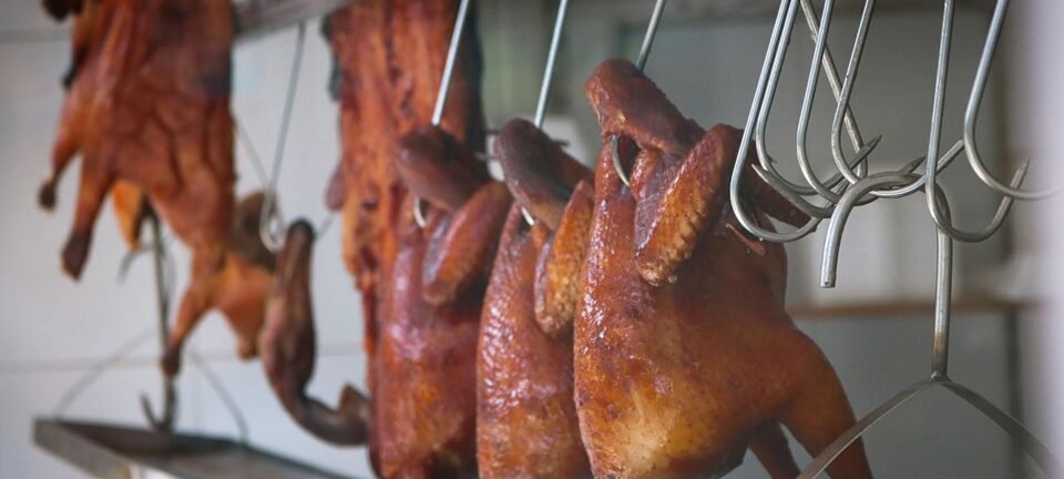 Especialista alerta: mutação do vírus H5N1 pode desencadear pandemia mais grave que a de Covid-19 2 ocrente 1765154115