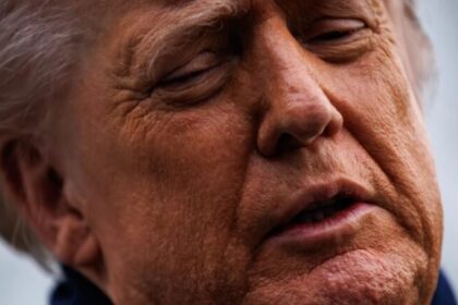 Trump minimiza fotos divulgadas por democratas em que aparece com Jeffrey Epstein 6 ocrente 1765660758