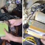 Bíblia permanece intacta após incêndio consumir casa nas Filipinas e família fala em “milagre” 5 ocrente 1765822780