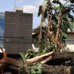 Enel cogita enterrar cabos na Grande SP para conter apagões e evitar perda de concessão 4 ocrente 1766443754
