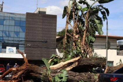 Enel cogita enterrar cabos na Grande SP para conter apagões e evitar perda de concessão 18 ocrente 1766443754