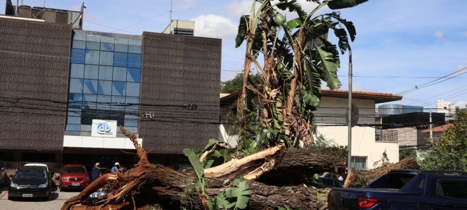Enel cogita enterrar cabos na Grande SP para conter apagões e evitar perda de concessão 2 ocrente 1766443754