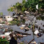 Amazônia vira campo de batalhas entre visões de preservação e progresso econômico 5 ocrente 1766607579
