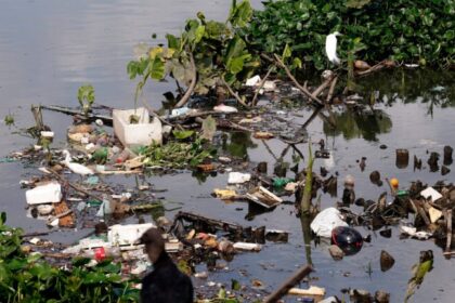 Amazônia vira campo de batalhas entre visões de preservação e progresso econômico 10 ocrente 1766607579