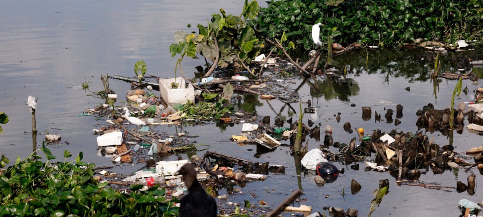 Amazônia vira campo de batalhas entre visões de preservação e progresso econômico 2 ocrente 1766607579