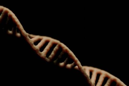 Genoma de 4.800 anos revela detalhes da vida de egípcio antigo 2 ocrente 1767014376