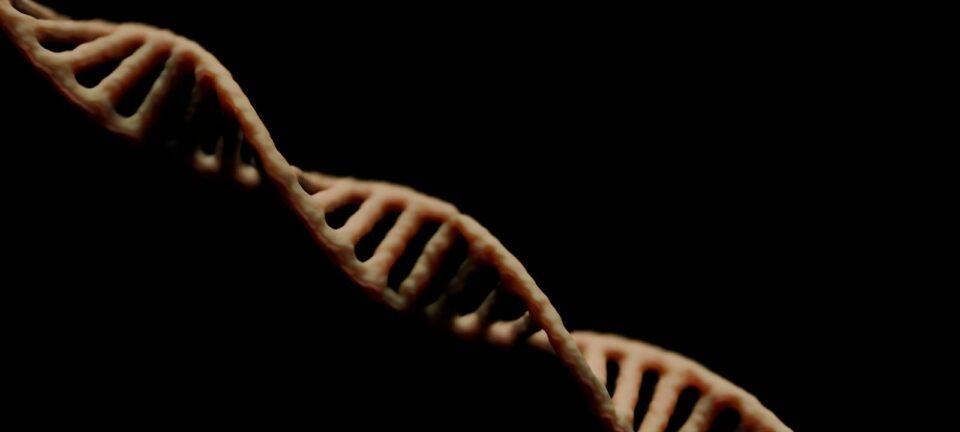 Genoma de 4.800 anos revela detalhes da vida de egípcio antigo 2 ocrente 1767014376