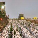 Reforma tributária amplia tributos e impõe nova burocracia ao produtor rural 5 ocrente 1767128729