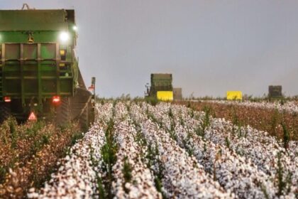 Reforma tributária amplia tributos e impõe nova burocracia ao produtor rural 8 ocrente 1767128729
