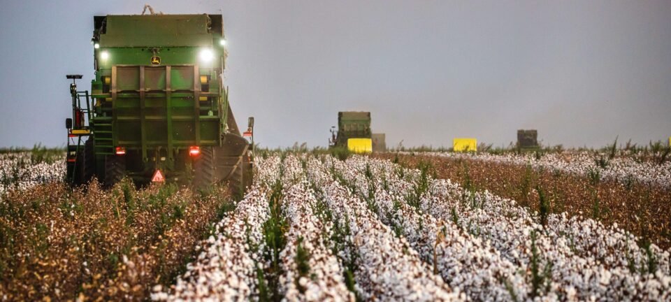Reforma tributária amplia tributos e impõe nova burocracia ao produtor rural 2 ocrente 1767128729